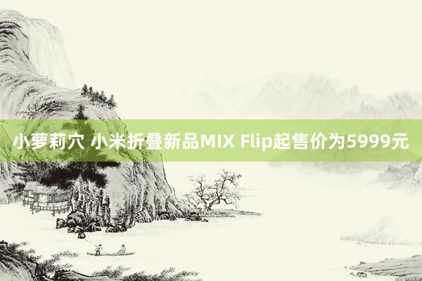 小萝莉穴 小米折叠新品MIX Flip起售价为5999元