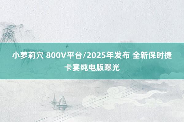 小萝莉穴 800V平台/2025年发布 全新保时捷卡宴纯电版曝光