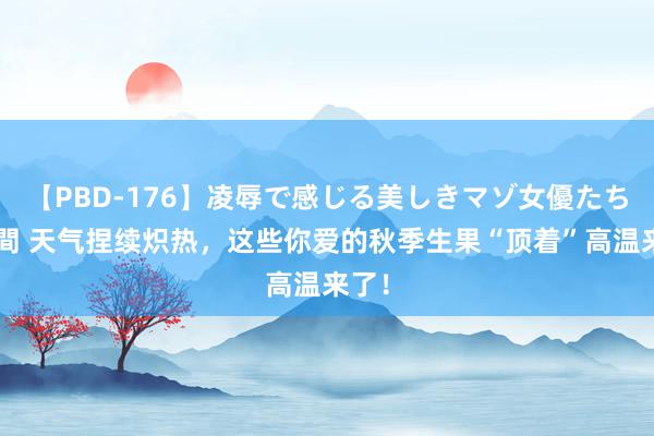 【PBD-176】凌辱で感じる美しきマゾ女優たち8時間 天气捏续炽热，这些你爱的秋季生果“顶着”高温来了！