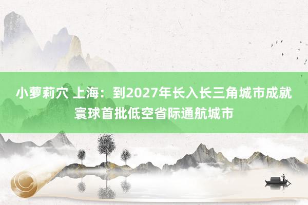 小萝莉穴 上海：到2027年长入长三角城市成就寰球首批低空省际通航城市