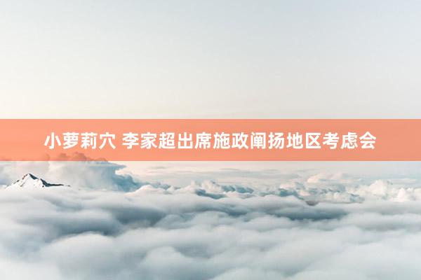 小萝莉穴 李家超出席施政阐扬地区考虑会