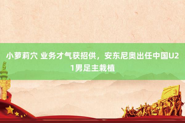 小萝莉穴 业务才气获招供，安东尼奥出任中国U21男足主栽植