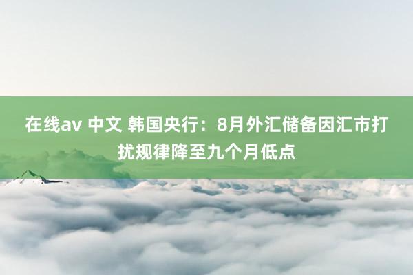 在线av 中文 韩国央行：8月外汇储备因汇市打扰规律降至九个月低点