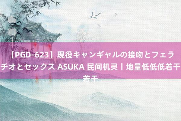【PGD-623】現役キャンギャルの接吻とフェラチオとセックス ASUKA 民间机灵丨地量低低低若干