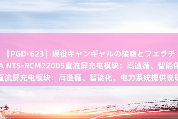 【PGD-623】現役キャンギャルの接吻とフェラチオとセックス ASUKA NTS-RCM22005直流屏充电模块：高遵循、智能化，电力系统提供说明