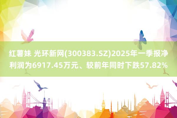红薯妹 光环新网(300383.SZ)2025年一季报净利润