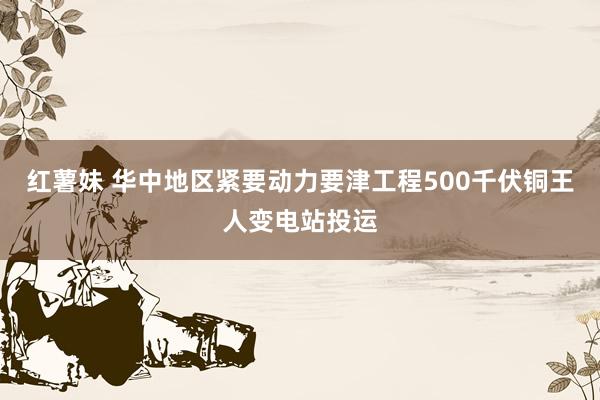 红薯妹 华中地区紧要动力要津工程500千伏铜王人变电站投运