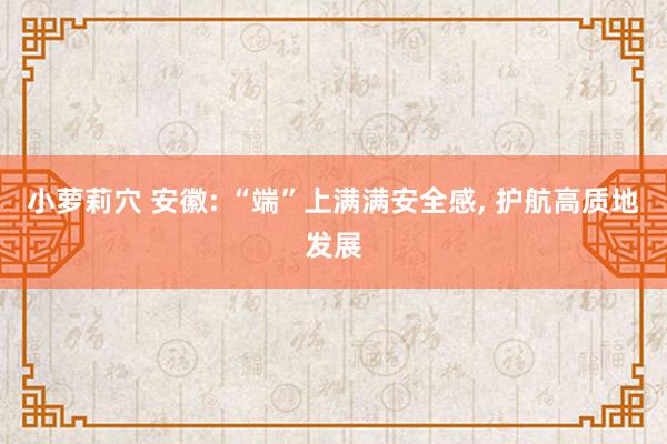 小萝莉穴 安徽: “端”上满满安全感, 护航高质地发展