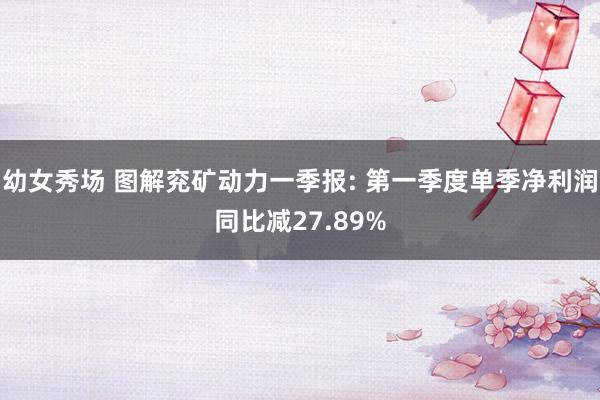 幼女秀场 图解兖矿动力一季报: 第一季度单季净利润同比减27