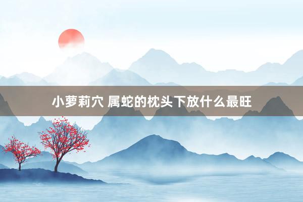 小萝莉穴 属蛇的枕头下放什么最旺
